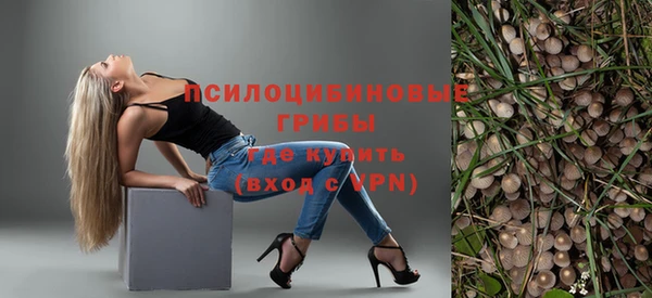 стафф Бронницы