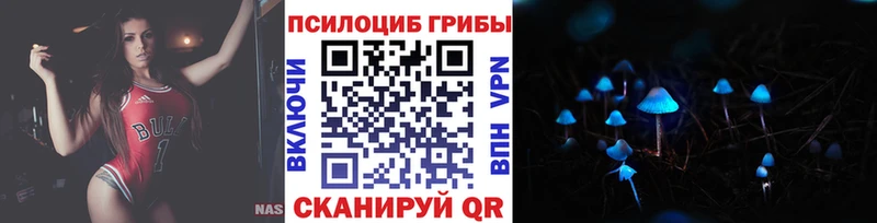 Псилоцибиновые грибы Psilocybine cubensis как найти Мурманск